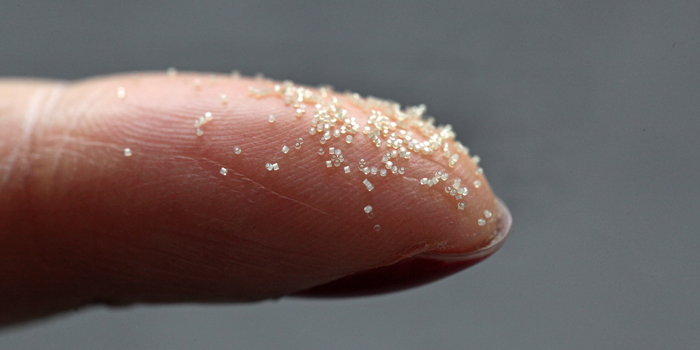 Inside the gelatin sheath are hundreds of microcapsules, each smaller than a grain of sand. Photo: Jesper Scheel
