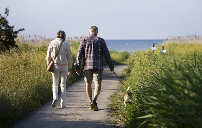 people walking a dog by the ocean