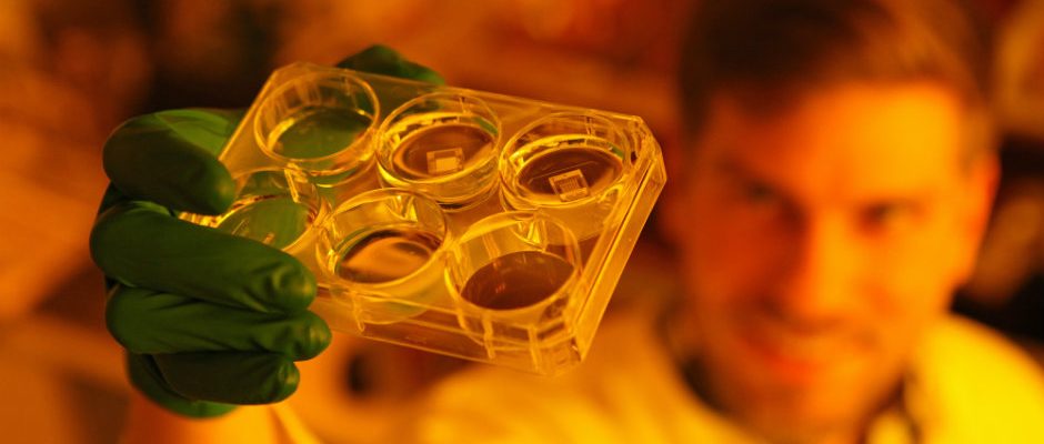 Celebration of DTU Health Tech