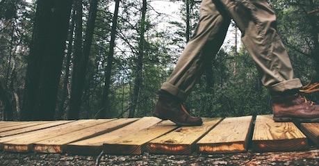 Motivating Physical Activity, walking in the forest