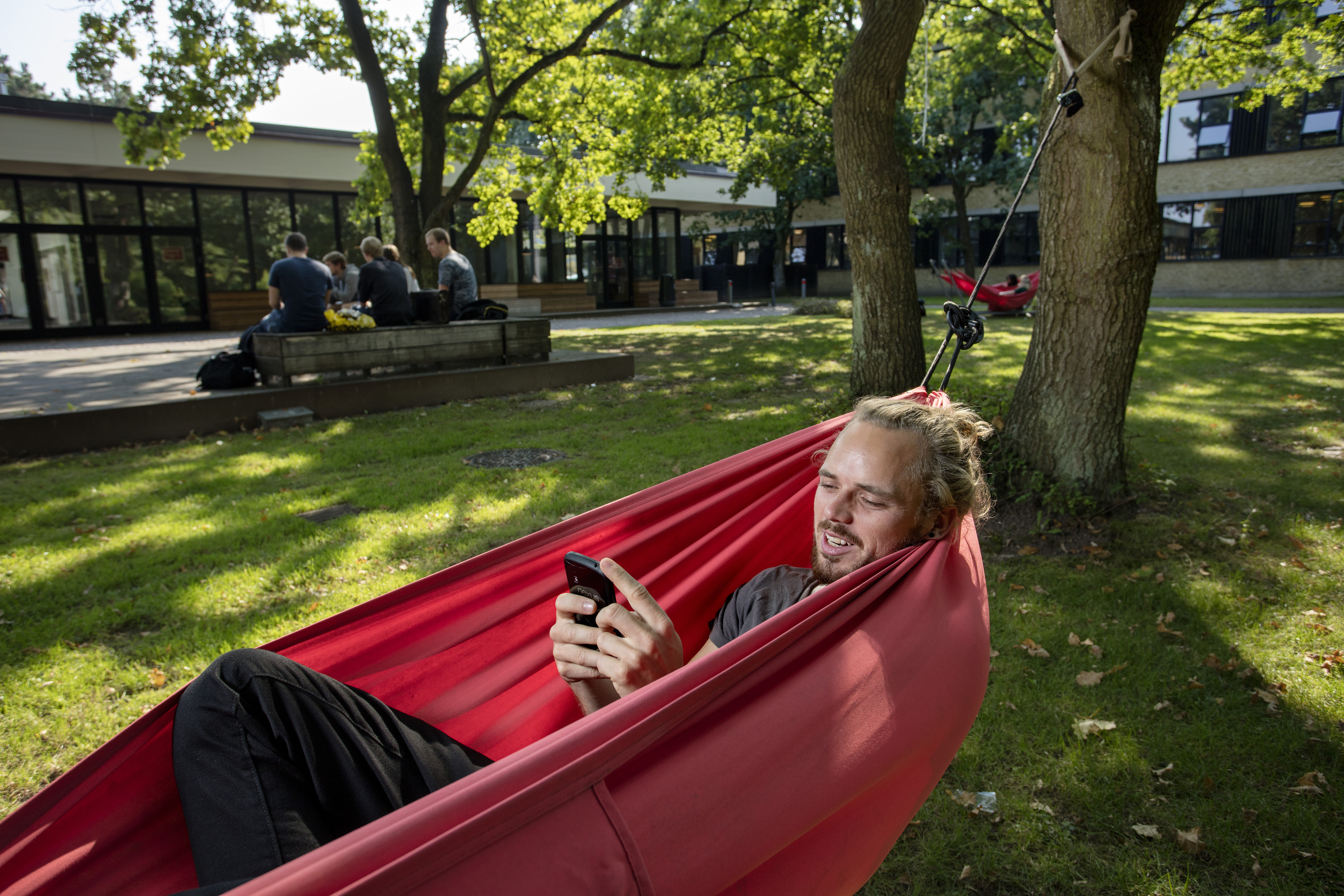 Student in hammock with phone